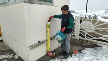 Gaziantep'te karakışta sokak hayvanları unutulmadı 