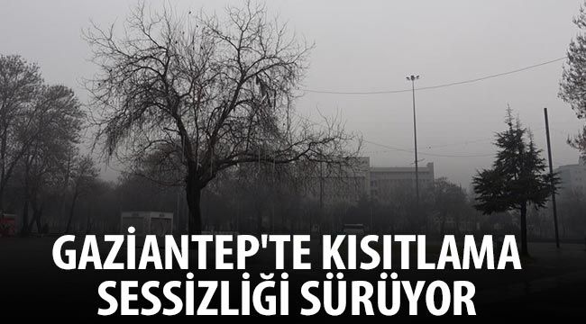 Gaziantep'te kısıtlama sessizliği sürüyor 
