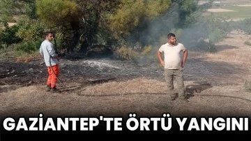 Gaziantep'te Örtü Yangını