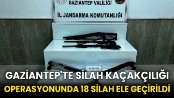 Gaziantep'te silah kaçakçılığı operasyonunda 18 silah ele geçirildi