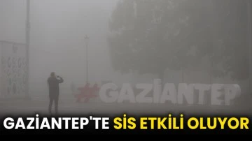 Gaziantep'te sis etkili oluyor