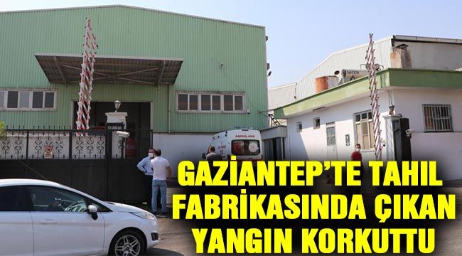 Gaziantep’te tahıl fabrikasında çıkan yangın korkuttu 