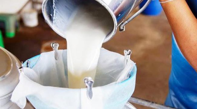 Gaziantep'te tam kapanma sürecinde süt üreticilerine destek sağlanacak