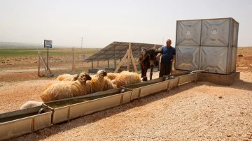 Gaziantep'te tarım ve hayvancılık belediye desteğiyle gelişiyor