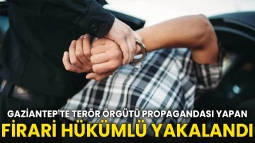 Gaziantep'te terör örgütü propagandası yapan firari hükümlü yakalandı