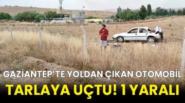 Gaziantep’te yoldan çıkan otomobil tarlaya uçtu! 1 yaralı