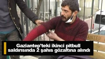 Gaziantep'teki ikinci pitbull saldırısında 2 şahıs gözaltına alındı