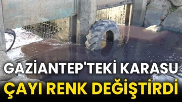 Gaziantep'teki Karasu Çayı renk değiştirdi