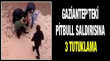 Gaziantep'teki pitbull saldırısına 3 tutuklama