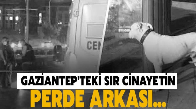 Gaziantep'teki Sır Cinayetin Perde Arkası...