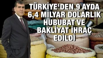Türkiye'den 9 ayda 6,4 milyar dolarlık hububat ve bakliyat ihraç edildi 