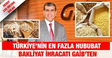 Türkiye’nin en fazla hububat bakliyat ihracatı GAİB’ten