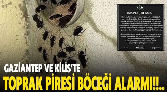Gaziantep ve Kilis’te toprak piresi böceği alarmı!!..