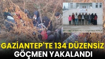 Gaziantep'te 134 düzensiz göçmen yakalandı