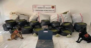 Gaziantep’te 462 kilo uyuşturucu madde ele geçirildi