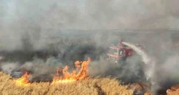 Gaziantep'te 7 bin dönüm buğday tarlası yandı