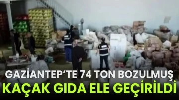 Gaziantep’te 74 ton bozulmuş kaçak gıda ele geçirildi