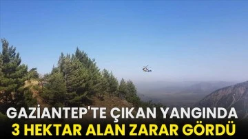 Gaziantep'te çıkan yangında 3 hektar alan zarar gördü!