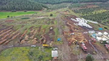 Gaziantep'te depremzedelere 5 bin tonun &uuml;zerinde yakacak odun dağıtıldı