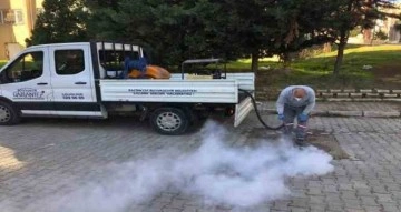 Gaziantep’te haşere ile mücadele