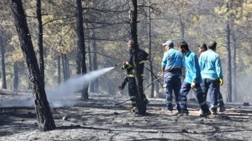 Gaziantep’te orman yangını