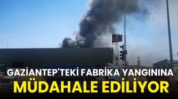 Gaziantep'teki fabrika yangınına müdahale ediliyor!