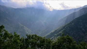 Gaziantep'teki ormanlık alanlara giriş yasağı 4 Eylül'e kadar uzatıldı