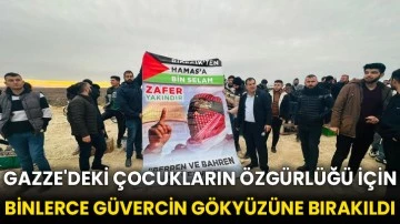 Gazze'deki çocukların özgürlüğü için binlerce güvercin gökyüzüne bırakıldı