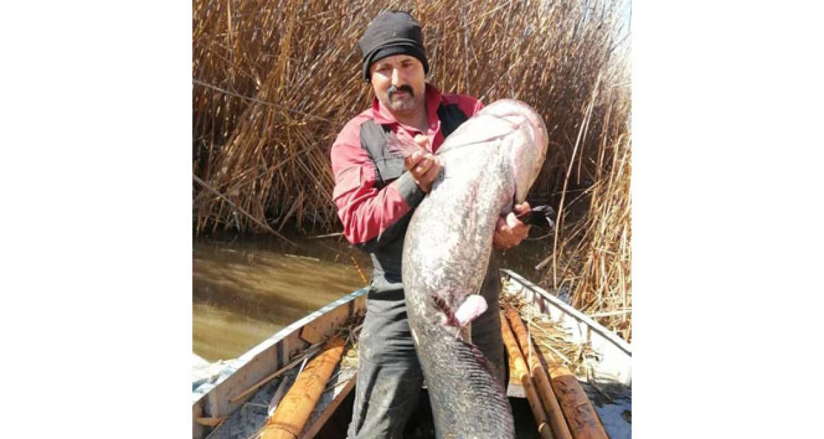 Gölhisar gölünde 35 kg'lık yayın balığı yakalandı