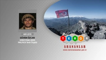 Gri kategorideki terörist Bitlis'te etkisiz hale getirildi
