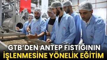 GTB’den Antep Fıstığının İşlenmesine Yönelik Eğitim 