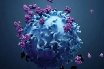 Güçlü bir bağışıklık sistemi, kanseri durdurabilir mi