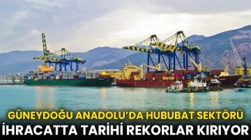 Güneydoğu Anadolu’da Hububat Sektörü İhracatta Tarihi Rekorlar Kırıyor