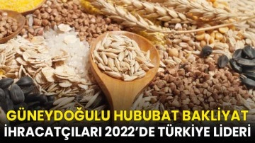 Güneydoğulu hububat bakliyat ihracatçıları 2022’de Türkiye lideri