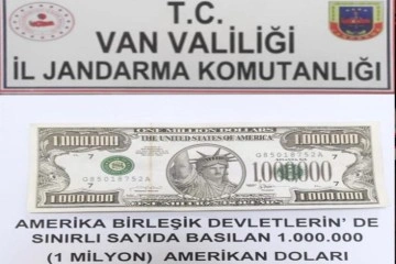 Gürpınar’da 1 milyon dolarlık banknot ele geçirildi
