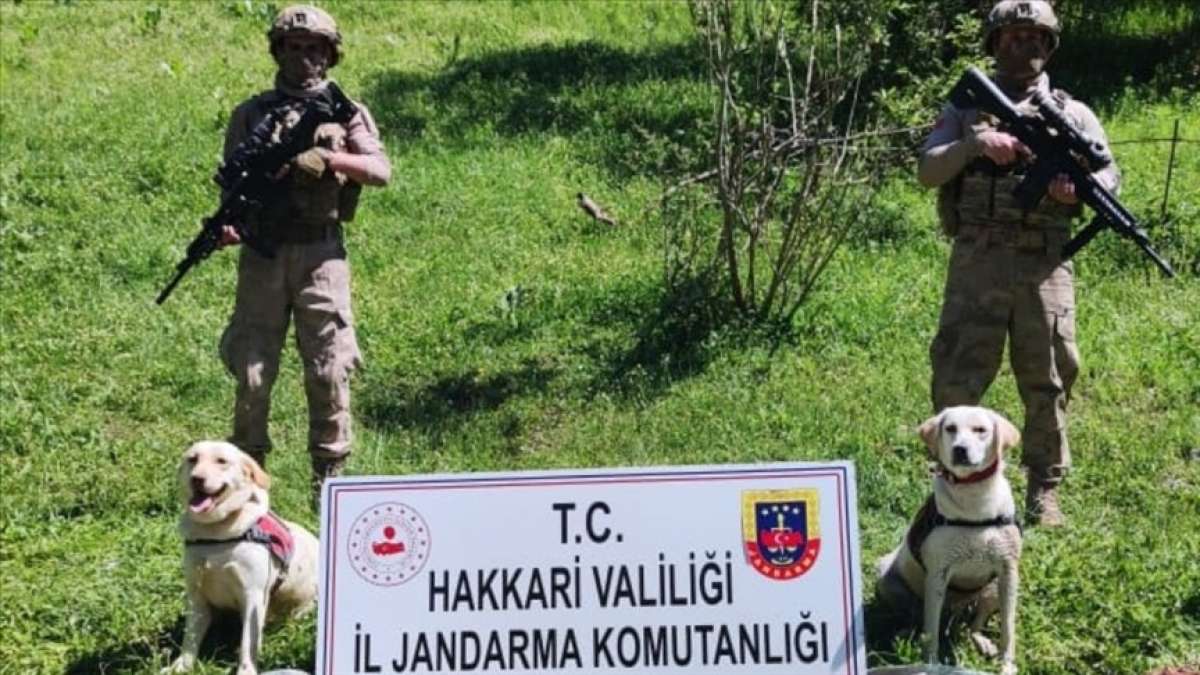 Hakkari'de terör örgütü PKK'ya yönelik operasyonda silah, patlayıcı ve mühimmat ele geçiri