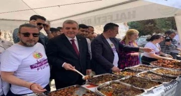Halfeti’de "Meyve Yemekleri Festivali" düzenleniyor