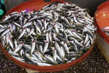 Hamsi azalışa ge&ccedil;ti, istavrit fiyatıyla şaşırttı