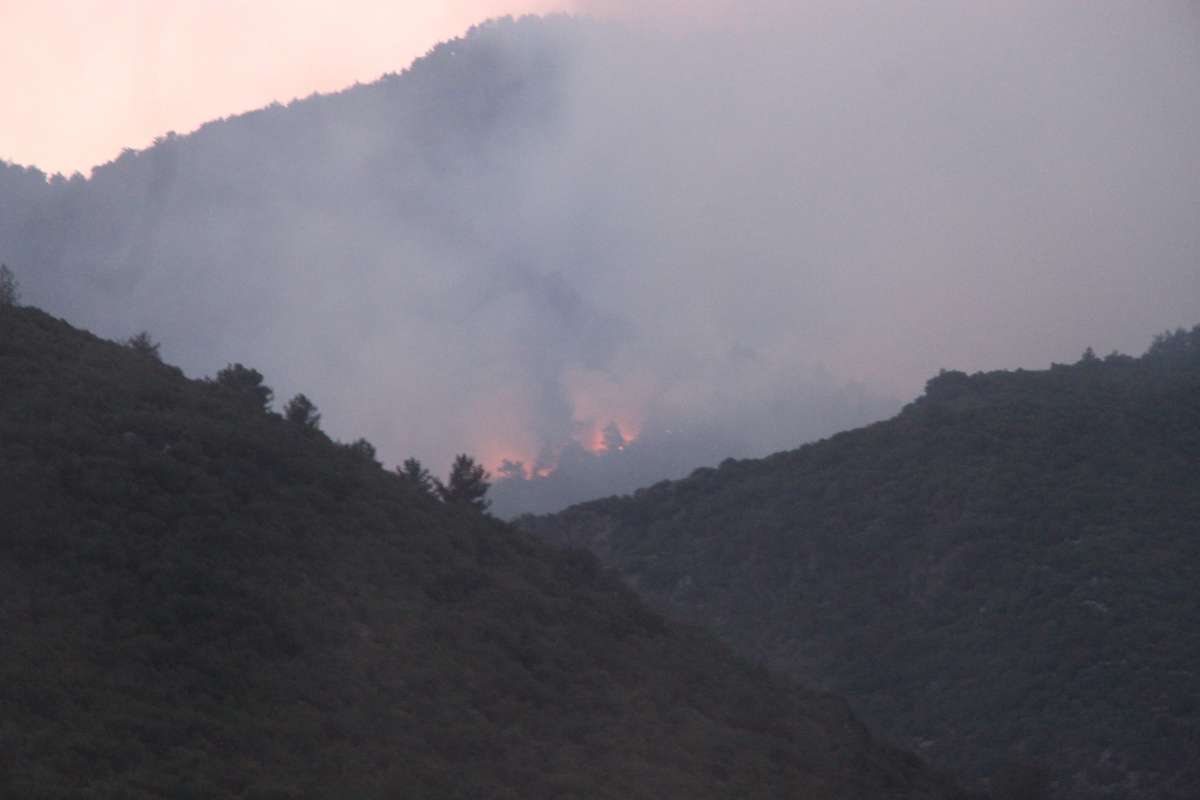 Hatay'da orman yangınına yerden müdahale devam ediyor