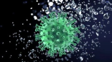 Havadaki Kovid-19 virüsü, ilk 20 dakikada bulaşma yeteneğinin yüzde 90'ını kaybediyor
