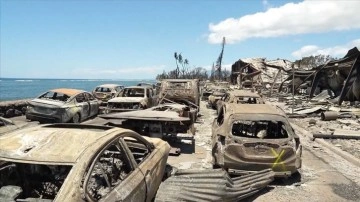 Hawaii'deki orman yangınlarında hayatını kaybedenlerin sayısı 99'a çıktı