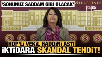 HDP'li Pekgözegü'den TBMM'de skandal tehdit! Sonunuz Saddam gibi olacak
