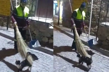 Hem çevreyi temizliyor hem de sokak kedisine süpürgesi ile masaj yapıyor
