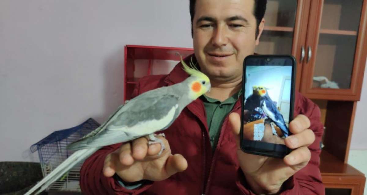 Her sabah papağan Bitik'in söylediği “Ölürüm Türkiye'm” parçasıyla kalkıyorlar