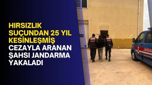 Hırsızlık suçundan 25 yıl kesinleşmiş cezayla aranan şahsı jandarma yakaladı