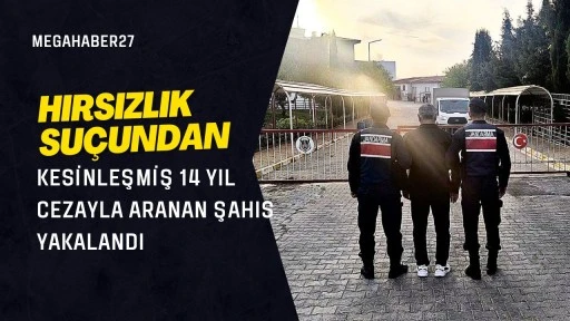 Hırsızlık suçundan kesinleşmiş 14 yıl cezayla aranan şahıs yakalandı