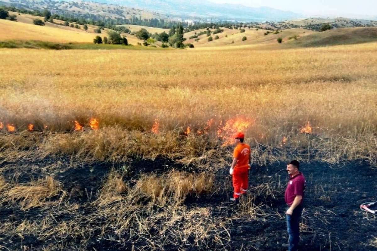 Hisarcık'ta yüksek gerilim hattı koptu, hububat tarlası alev alev yandı