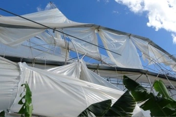 Hortum muz serasını vurdu, 5 d&ouml;n&uuml;ml&uuml;k alan savaş meydanını aratmadı