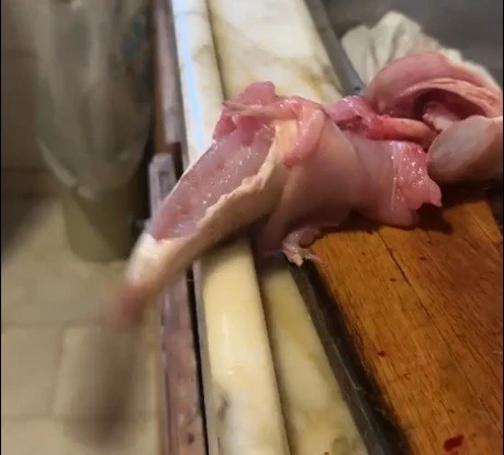 İ&ccedil;i temizlenen balık dakikalarca &ccedil;ırpınmaya devam etti