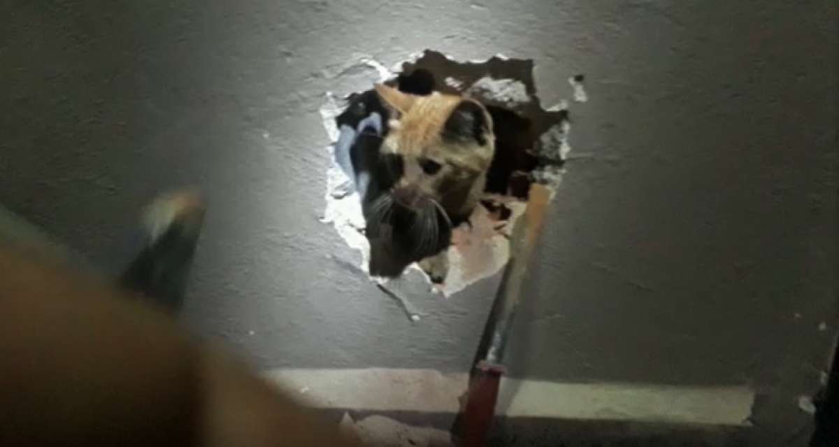 İki apartman arasındaki boşlukta mahsur kaldı, duvar delinerek kurtarıldı